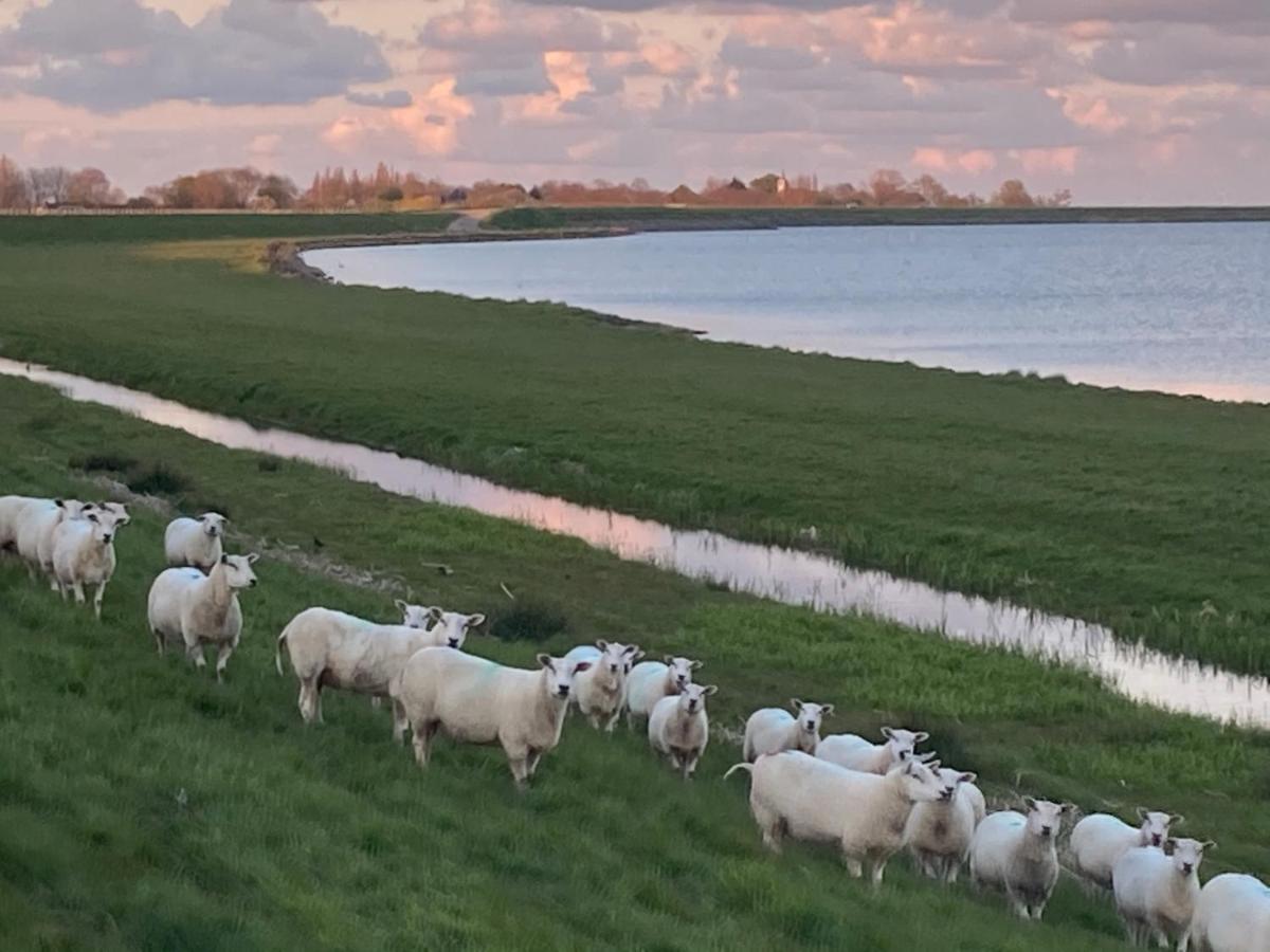 Vakantiehuis Het Uilennest Wijdenes 외부 사진