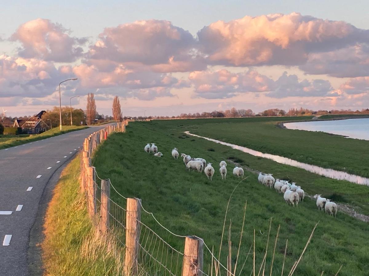 Vakantiehuis Het Uilennest Wijdenes 외부 사진