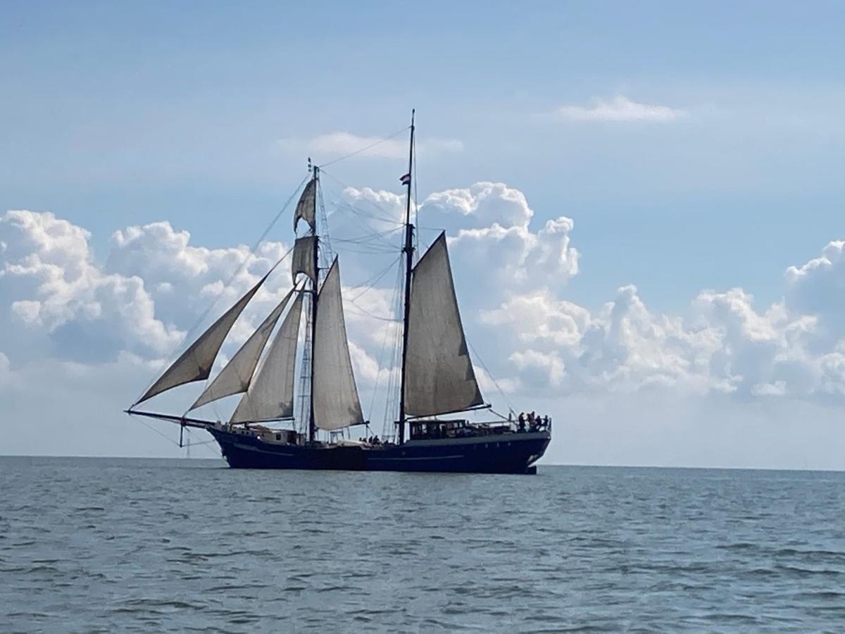 Vakantiehuis Het Uilennest Wijdenes 외부 사진