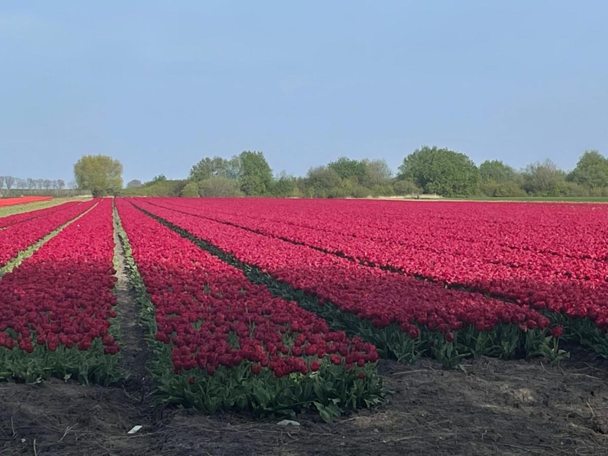 Vakantiehuis Het Uilennest Wijdenes 외부 사진