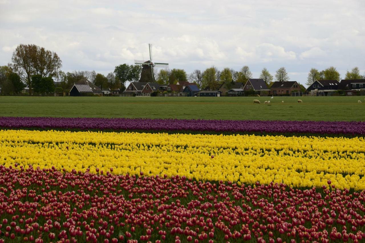 Vakantiehuis Het Uilennest Wijdenes 외부 사진